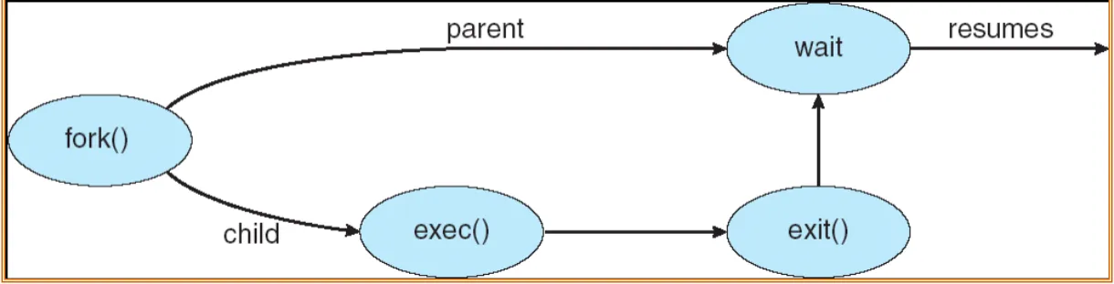 image-20251003102102928